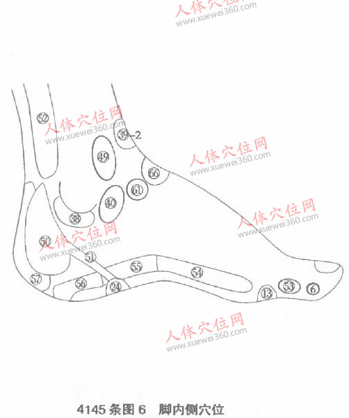 腳內側穴位圖