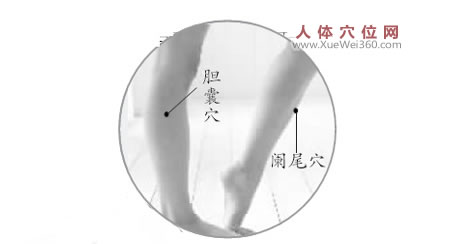 膽囊穴、闌尾穴