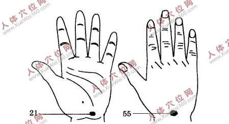 足腰痛手部選穴