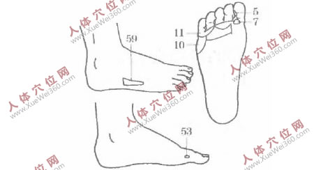 手腳穴位按摩對治療植物神經(jīng)功能紊亂有幫助