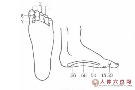 陳菊惠用手腳穴位按摩法治好已患8年的頭痛病