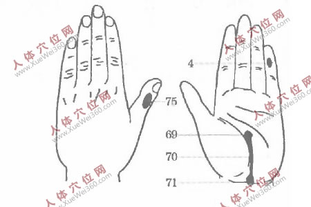 堅持手腳空位按摩可治愈尿路感染