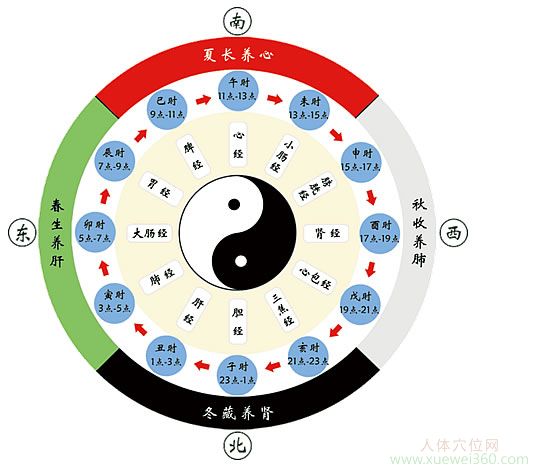 子午流注養(yǎng)生時(shí)刻表