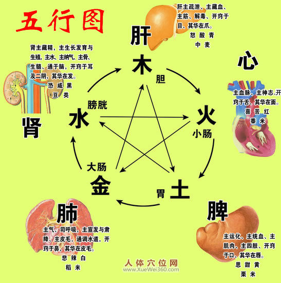 簡(jiǎn)單易懂的五臟養(yǎng)生竅門，實(shí)用！